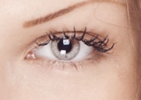 Beauty Wise Treatments
